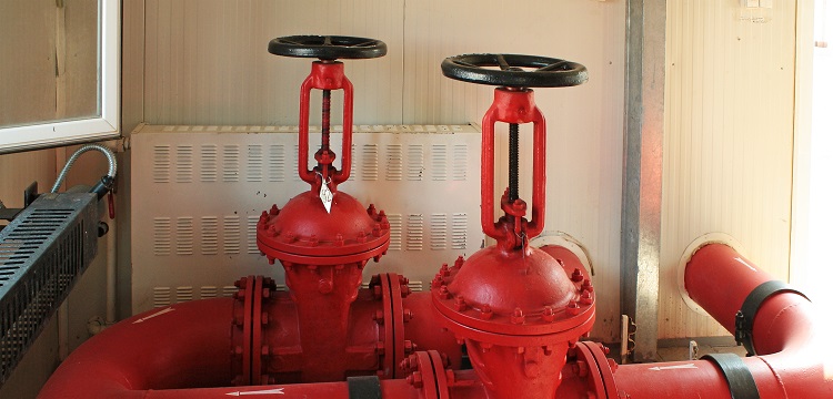 微生物安全健康網(wǎng)，微生物檢測(cè)如何規(guī)范操作 ?在微生物檢測(cè)實(shí)踐中，什么時(shí)候需要檢測(cè)參考菌群 參考菌群的檢測(cè)有何意義 ?健明迪