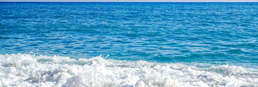 近岸海域水質監(jiān)測