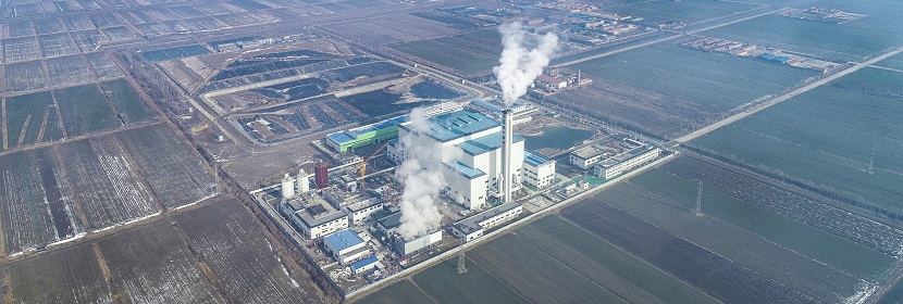 離子交換樹脂檢測(cè)