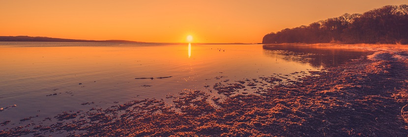 動物實(shí)驗室中心